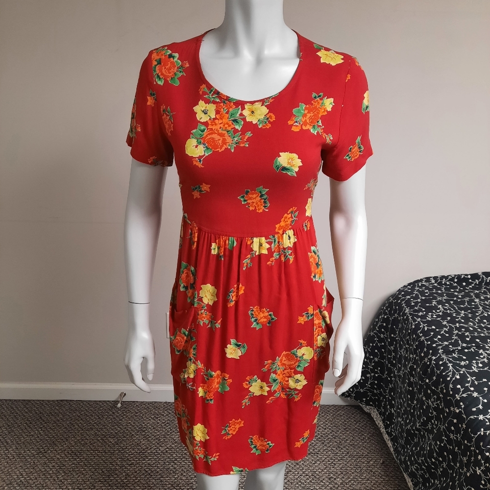 Dressing Clio Vintage Dress